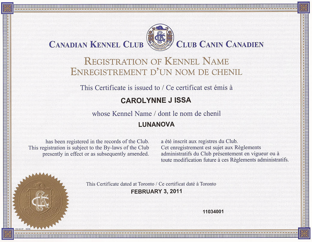 Ckc deals registered breeders